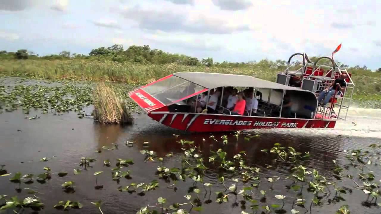 Transportation to Everglades Park, Airboat tour with a free picture and alligator presentation